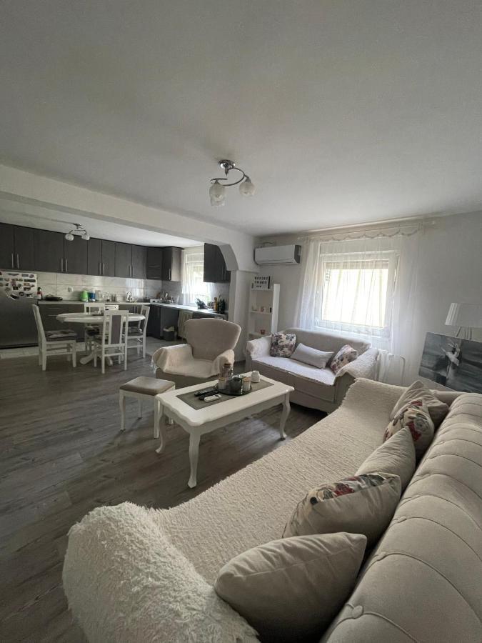 Antic Apartment Pozarevac Exterior photo